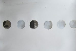 Ursula Sihler-Steidl, "Vereinzelt", Aquarellfarbe mit geschnittenen Baumscheiben aufgetragen, 45x30 cm, 2020, 250 €, 015144570392